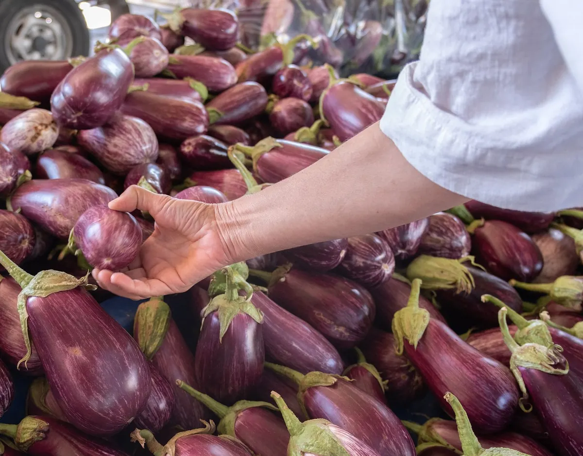 Farmers Market vs. Supermarket: A Borough Shopper's Price and Freshness Comparison